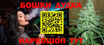 гашик Малоярославец